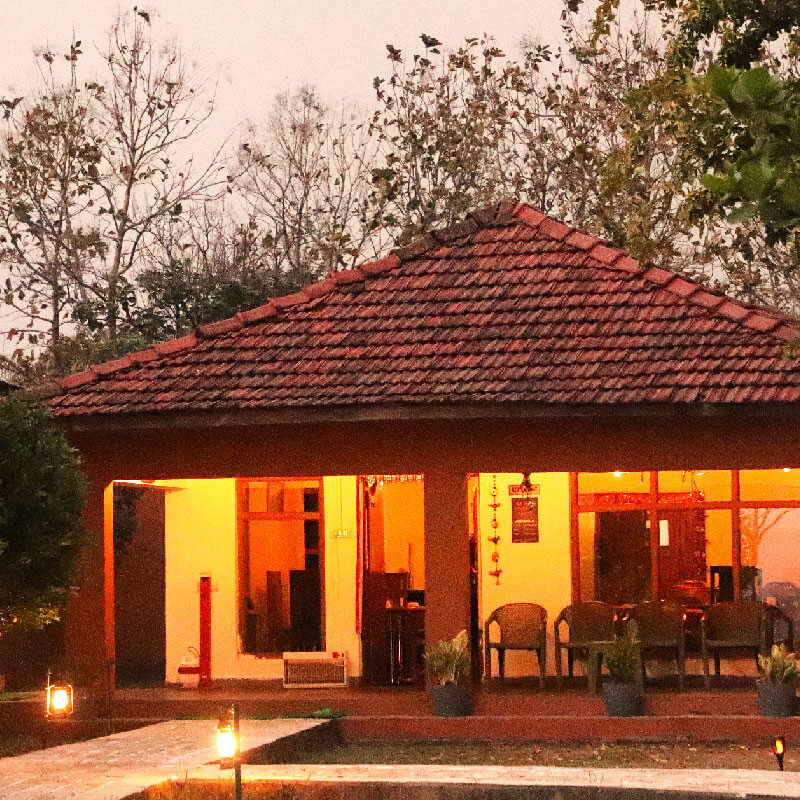 Tiger Spotted in Satpura Tiger Reserve - Madhai Riverside Lodge